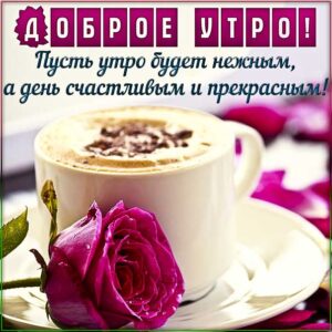 Нежного утра картинки