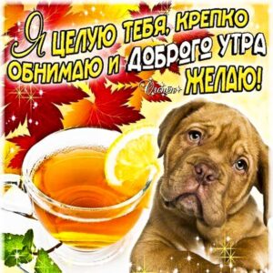 Доброе утро целую картинка