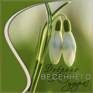 Доброго весеннего утра
