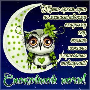 Ночь яркая луна спи