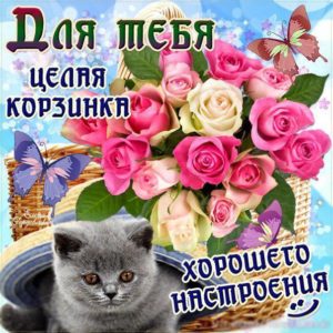 Корзина цветов на картинках