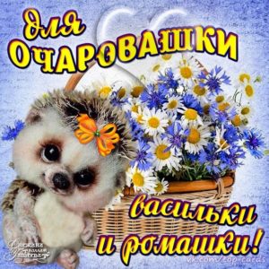 Очаровательной девушке открытка