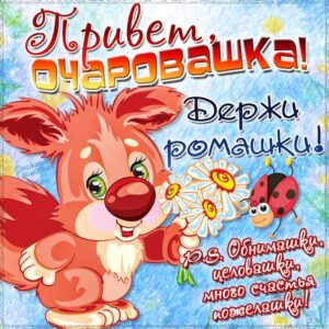 Открытки привет очаровашка