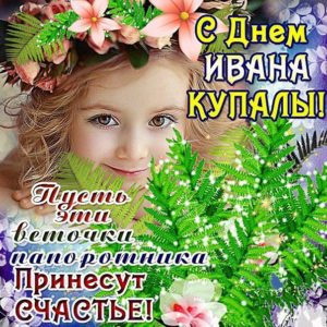Цветок папоротника открытки