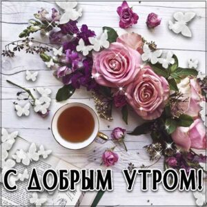 Чудесных утренних эмоций открытки