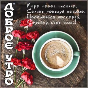 Gif чудесное солнечное утро