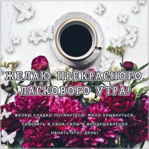 Ласкового и чудесного утра открытки
