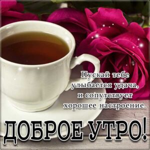 Утренняя удача картинки с бликами