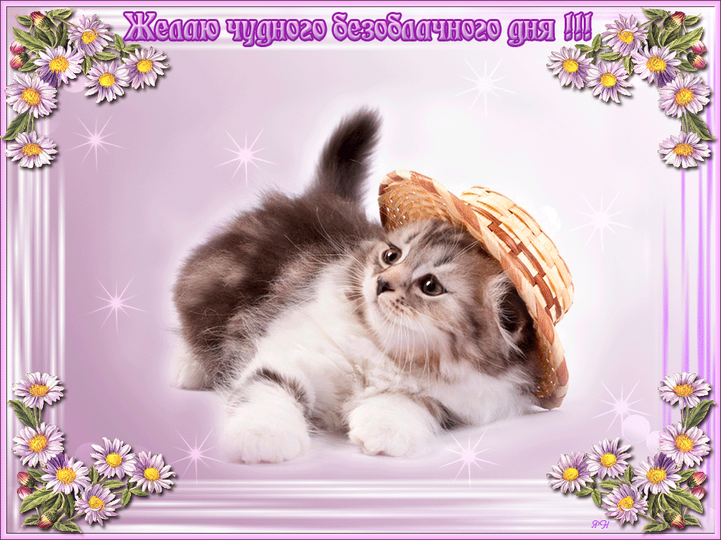 Безоблачного дня