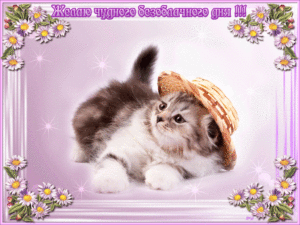 Безоблачного дня