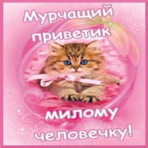 Открытки с нежностью о любви