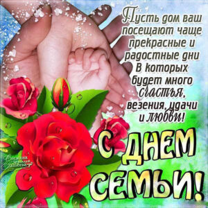Гифы красивые с днем семьи