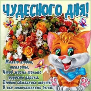 Картинки чудесного дня