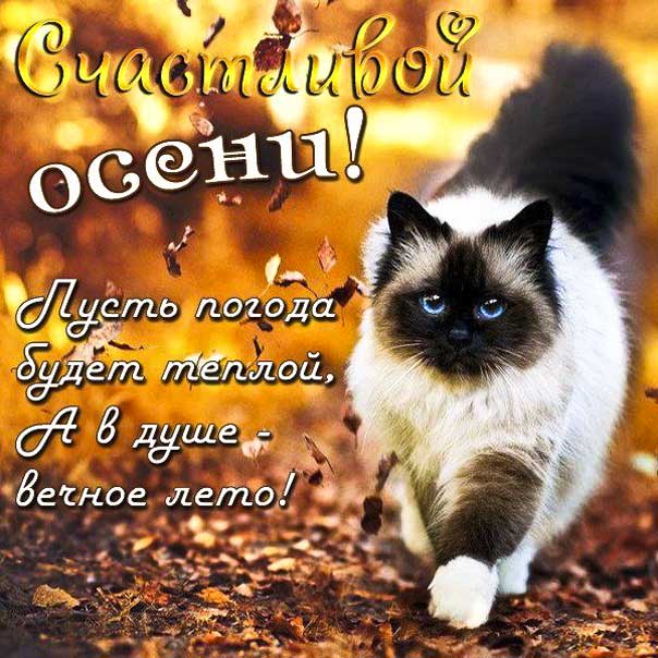 Пожелание счастливой осени gif
