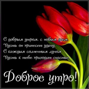 Утром приходит счастье