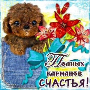 Полных карманов счастья картинка