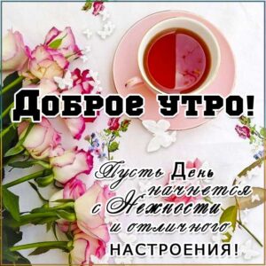 Нежное доброе утро картинки