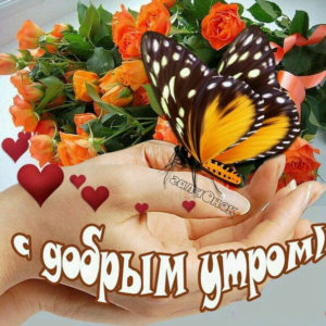 Картинки блёстки доброе утро