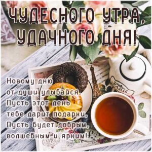 Феерического утра открытки с бликами