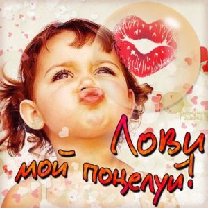 Пожелания целую открытки юмор