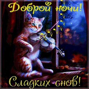 Ночи волшебной чудесных снов