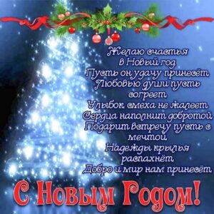 Новый год удачу принесет