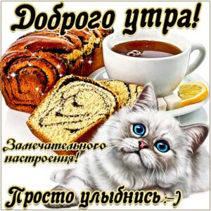 Утро клевого настроения картинка