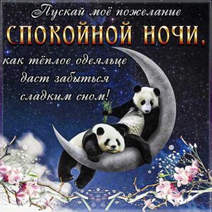 Доброй ночи прикольных снов