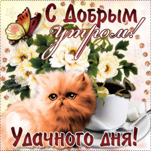 Интересные мобильные гифы доброе утро