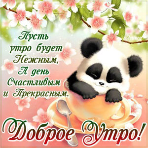 Открытки про нежное утро