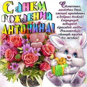 Антонина скачать с днем рождения
