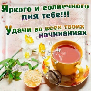 Доброго тебе дня картинка