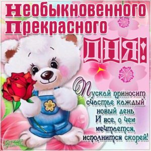 Картинки прекрасного дня