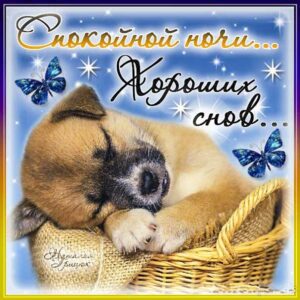 Открытки картинки спокойной ночи