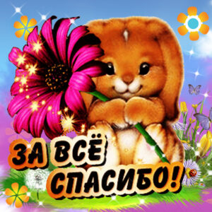 Спасибо открытки для телефонов