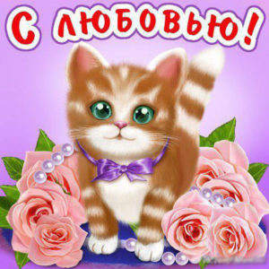 Открытки  анимационные я тебя Люблю