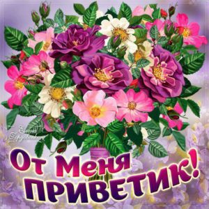 От меня приветик