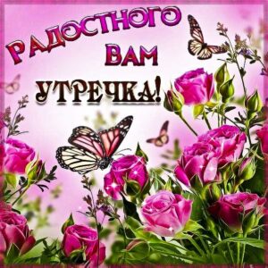Радостного вам утра картинка