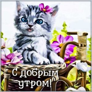 Утро позитивчик картинки
