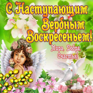 Открытки анимационные вербное воскресенье
