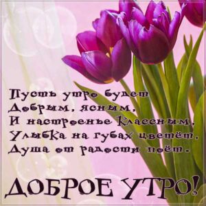 С утром добрым ясным