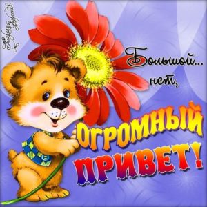 Открытки Привет