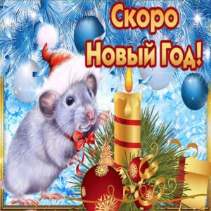 Скоро новый год картинки