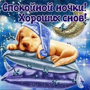 Спокойной ночи gif картинка
