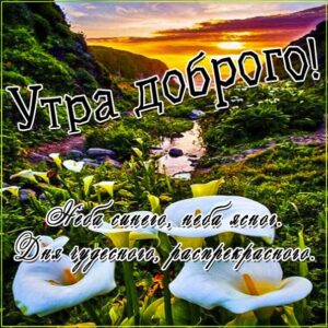 Утра доброго лилии долина