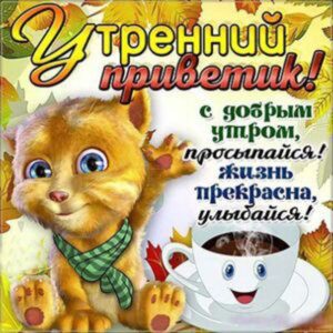 Утренний привет открытка утро доброе