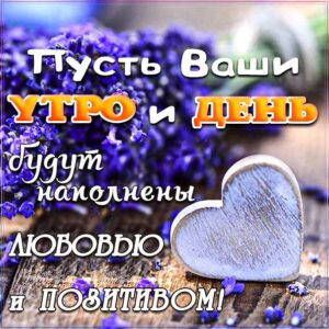 Утро день наполнены любовью