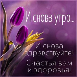 Утро и снова здравствуйте