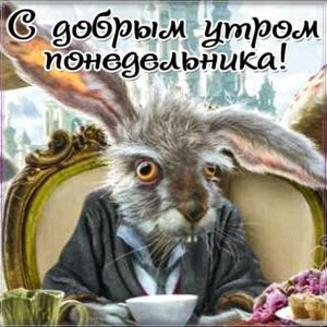 Утро понедельника здравствуй