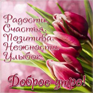 Утро радости нежности улыбок
